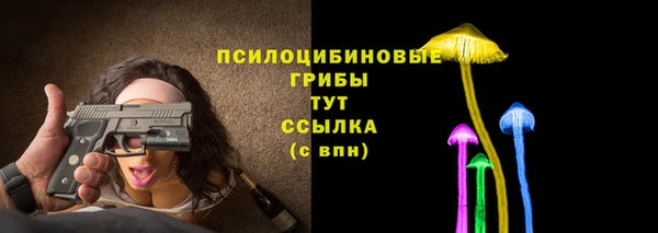 COCAINE Богородицк