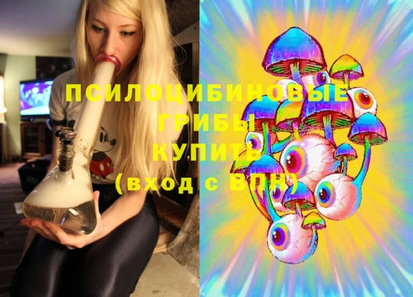 COCAINE Богородицк
