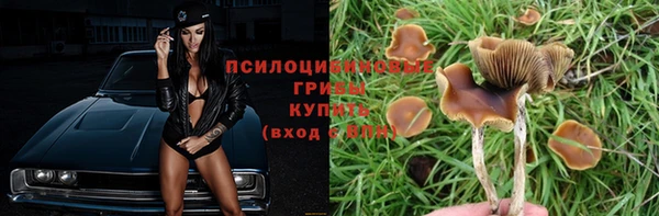 таблы Бородино