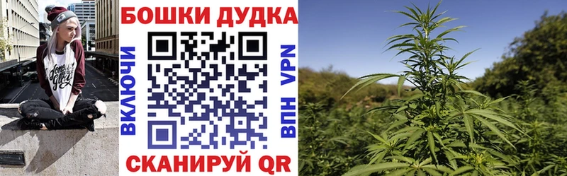 Бошки Шишки SATIVA & INDICA  Купить закладки  Инсар 